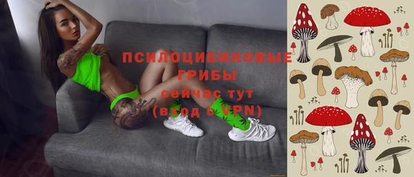 мяу мяу кристалл Покачи