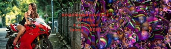 Альфа ПВП Пестово