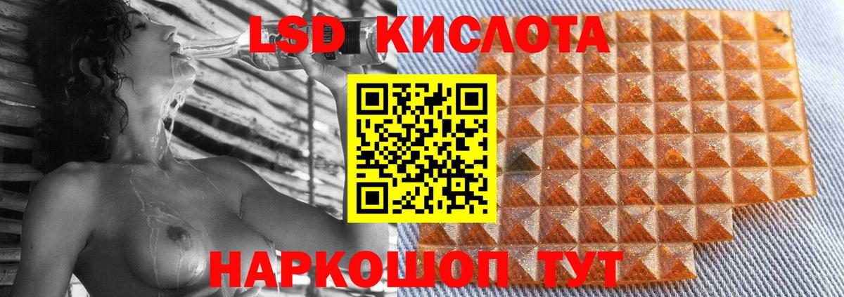 Псилоцибиновые грибы Рубцовск