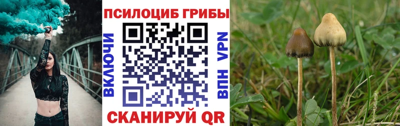 Галлюциногенные грибы GOLDEN TEACHER  где продают наркотики  Рубцовск 