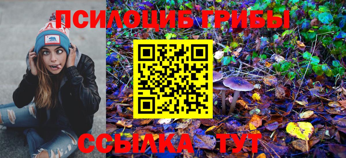 Галлюциногенные грибы Psilocybine cubensis  Вход с VPN  Рубцовск  сколько стоит  Галлюциногенные грибы прущие грибы 