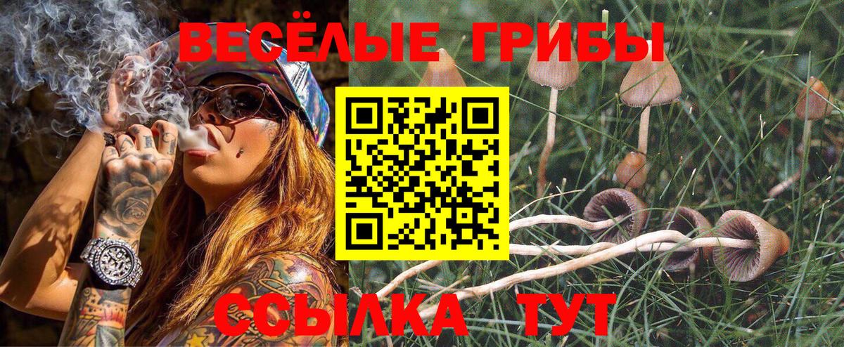 Псилоцибиновые грибы Psilocybine cubensis  магазин  наркотиков  Рубцовск 